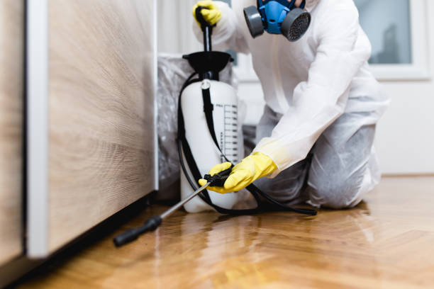 Best Pest Exclusion Services  in USA